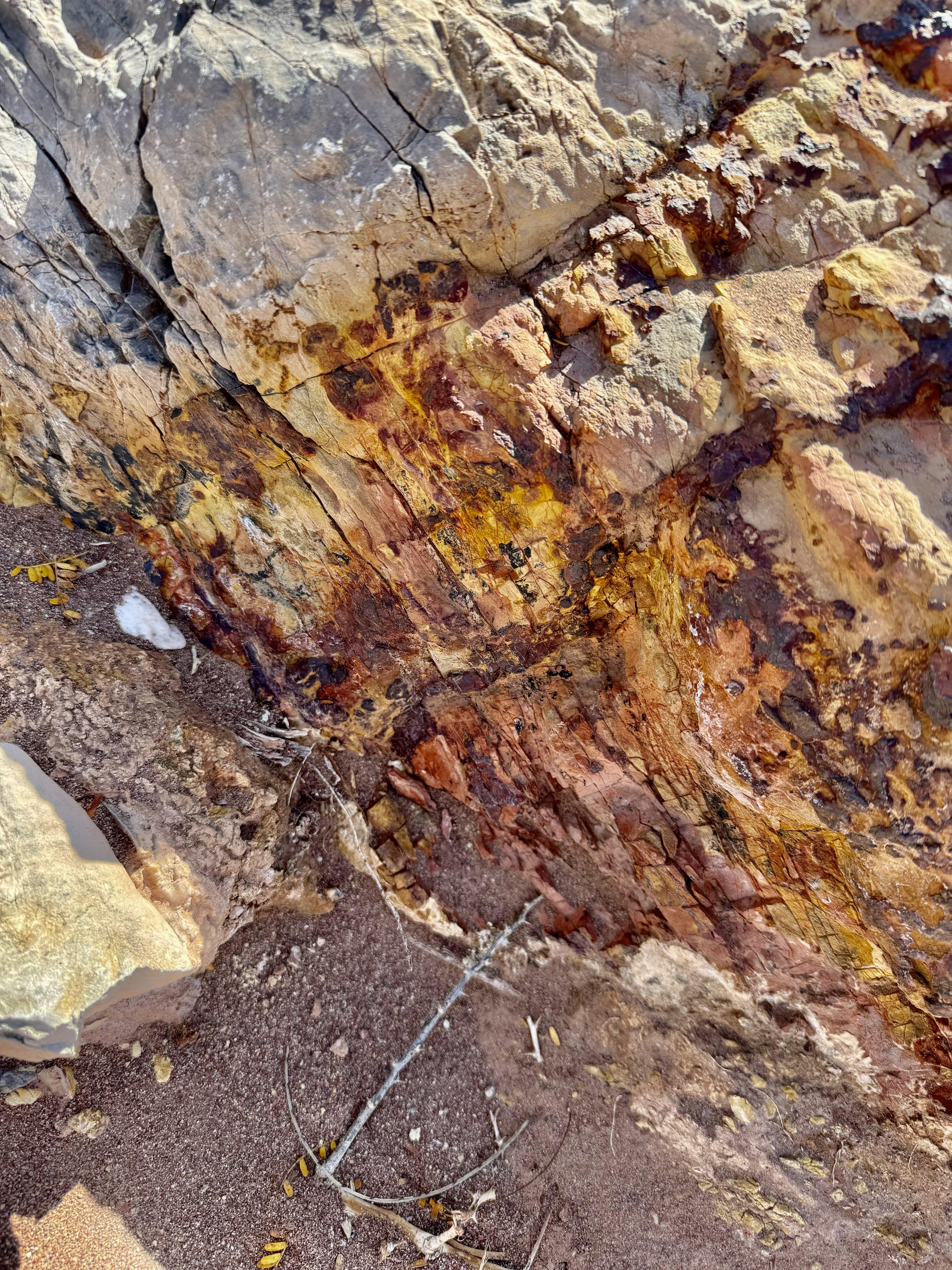 Field geologist sampling